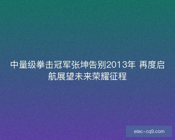 中量级拳击冠军张坤告别2013年 再度启航展望未来荣耀征程