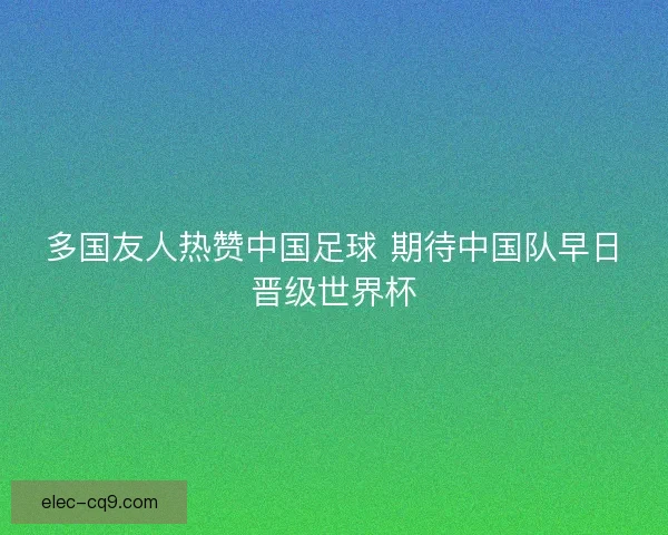 多国友人热赞中国足球 期待中国队早日晋级世界杯